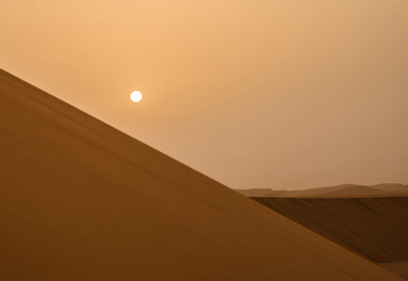 تطعيس وتخييم في النفود