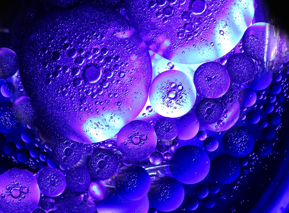 a close up of water droplets on a purple surface
