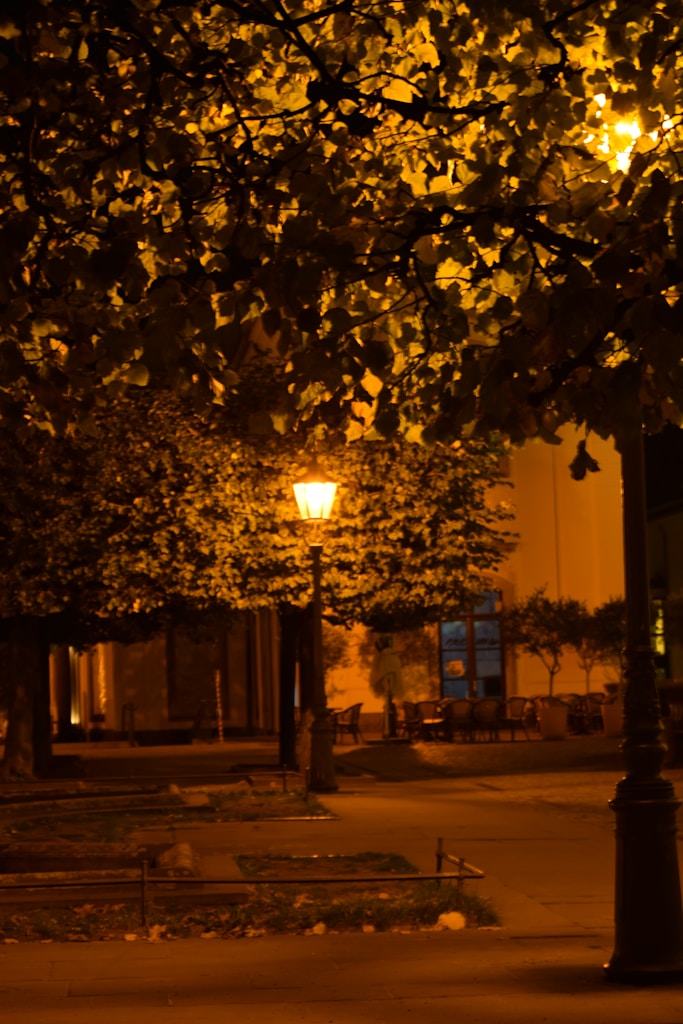 Solar Roadway Lamp
