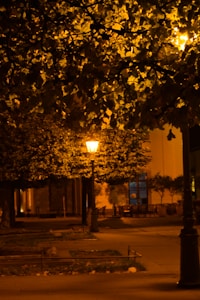 Solar Roadway Lamp