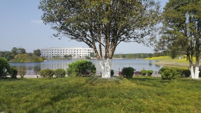 A scenic lakeside view with lush green grass in the foreground and tall trees providing shade. In the middle ground, a calm lake reflects the surrounding environment. A white, modern building can be seen across the lake, surrounded by trees and neatly landscaped bushes.