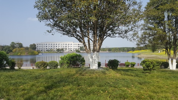 A scenic lakeside view with lush green grass in the foreground and tall trees providing shade. In the middle ground, a calm lake reflects the surrounding environment. A white, modern building can be seen across the lake, surrounded by trees and neatly landscaped bushes.