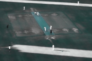 Cricket Basics