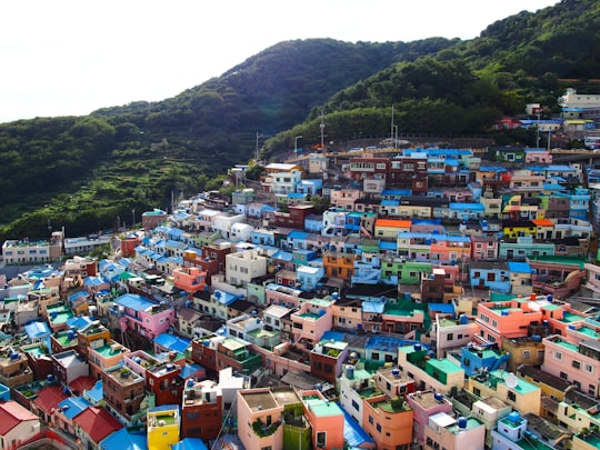 photography of assorted-color concrete buildings in Gamcheon Culture Village South Korea