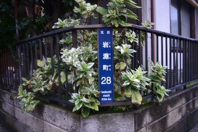 A corner of a residential area with a metal fence and lush green variegated plants growing around it. A blue street sign with white text is visible, displaying the address 'Iwabuchi machi' in Kita-ku. The setting suggests a quiet neighborhood atmosphere.