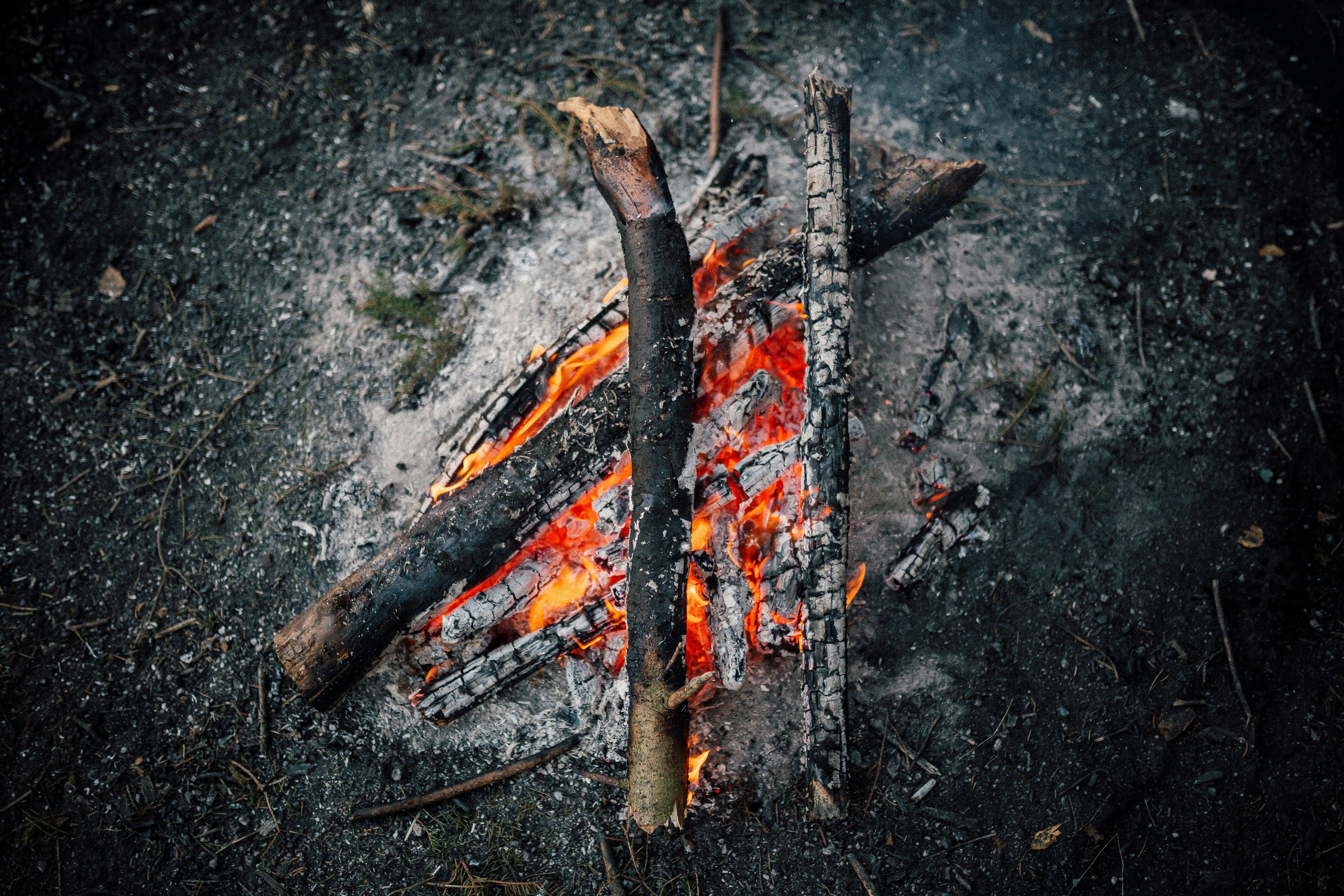 Photo by adrian_infernus