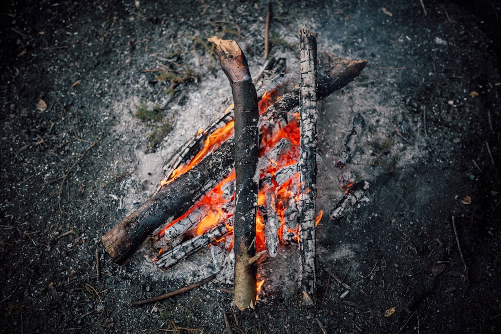 bonfire at nighttime