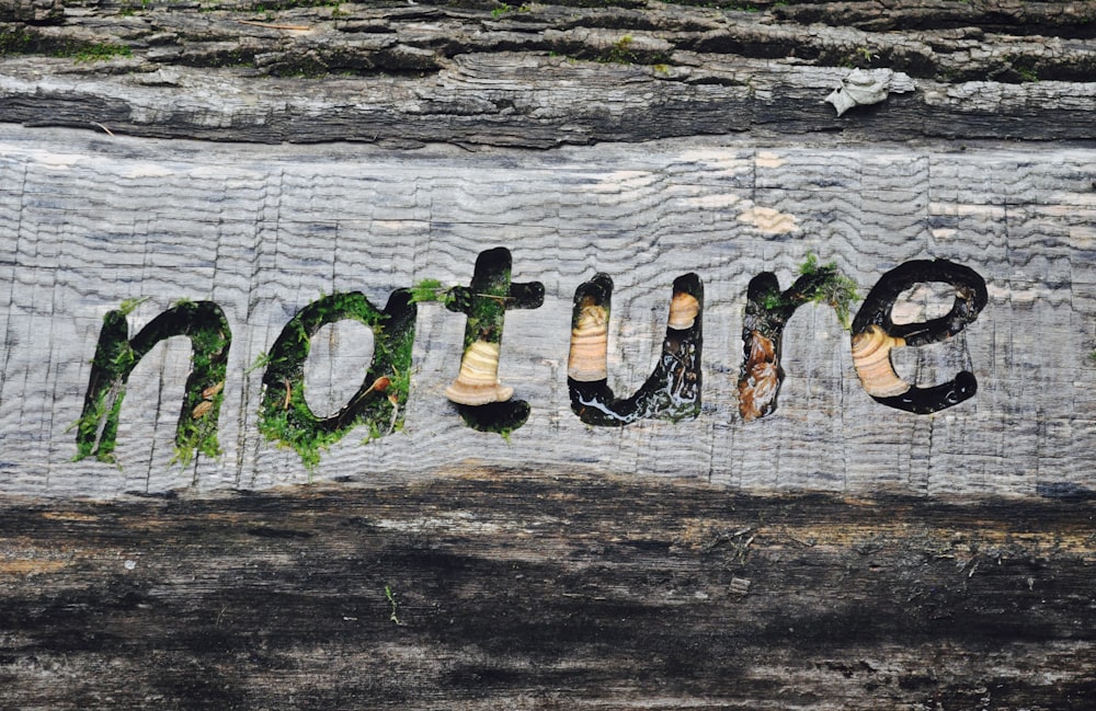 a piece of wood with the word nature painted on it