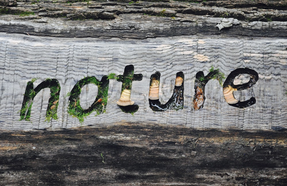 un morceau de bois avec le mot nature peint dessus