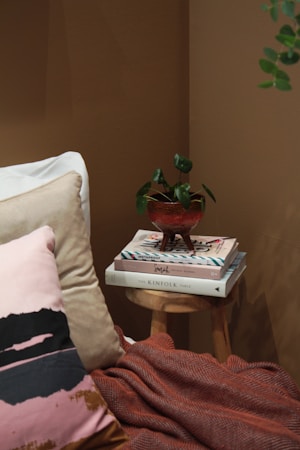 A cozy corner featuring a pile of three books on a small wooden stool, topped with a potted plant in a textured red pot. Two pillows in shades of pink and beige rest against a white cushion, and a rust-colored blanket is draped over the bottom. The background wall is painted in a warm brown tone.