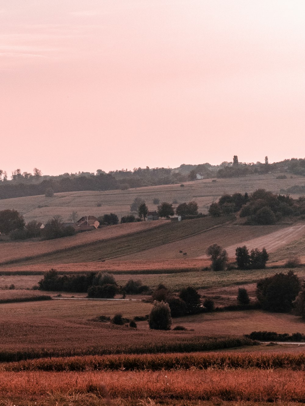 landscape photography of green grass field