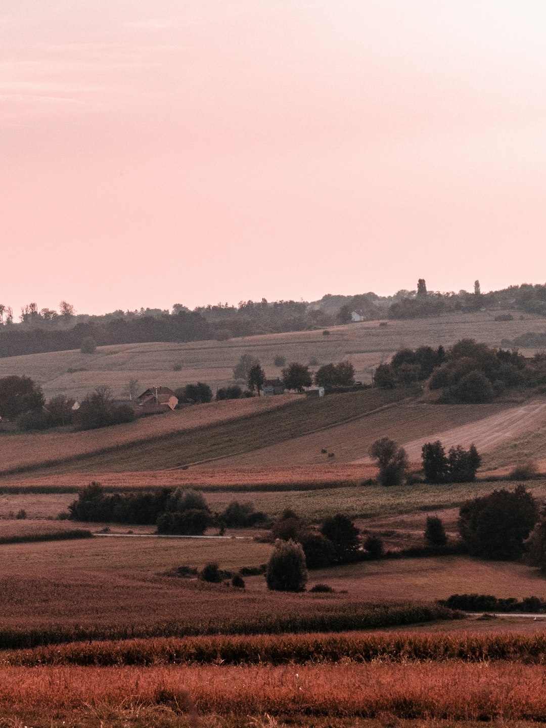 photo of Bjelovar-Bilogora County Plain near Gora Moslavačka