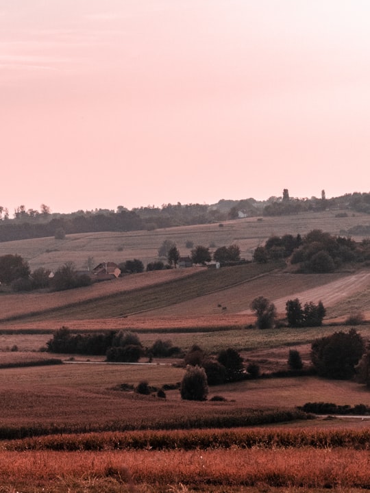 landscape photography of green grass field in Bjelovar-Bilogora County Croatia