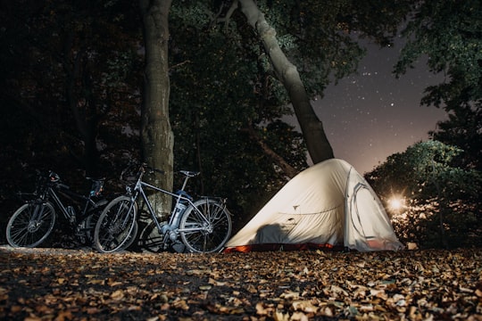 black and gray bikes near white camping tent and tall trees in Jasmund National Park Germany