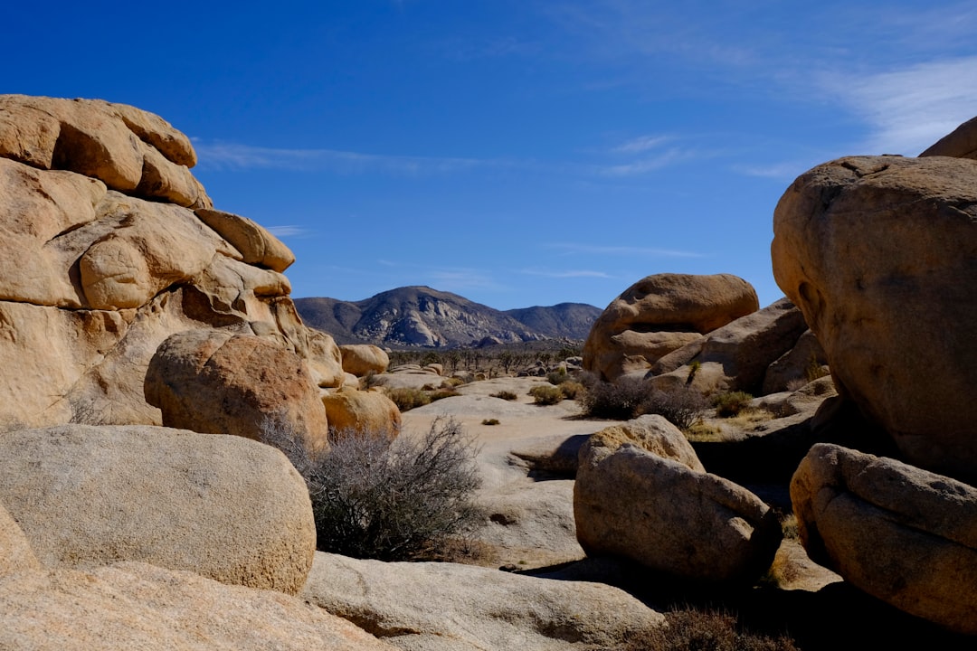 rocks on desert