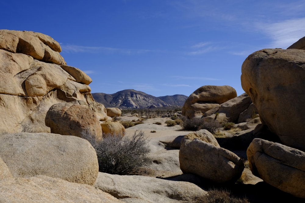 rocks on desert