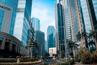 glass high-rise buildings during daytime