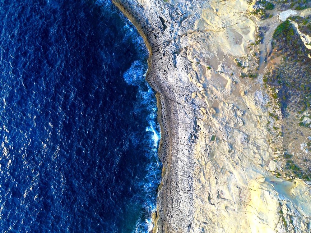 aerial photography of beach shore