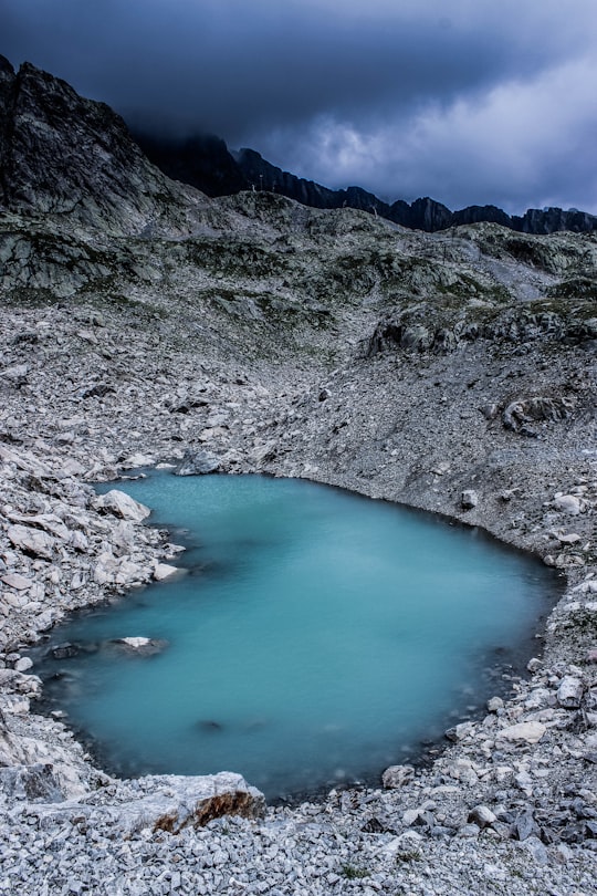 heart-shaped swamp on gray soil in Lac Blanc France