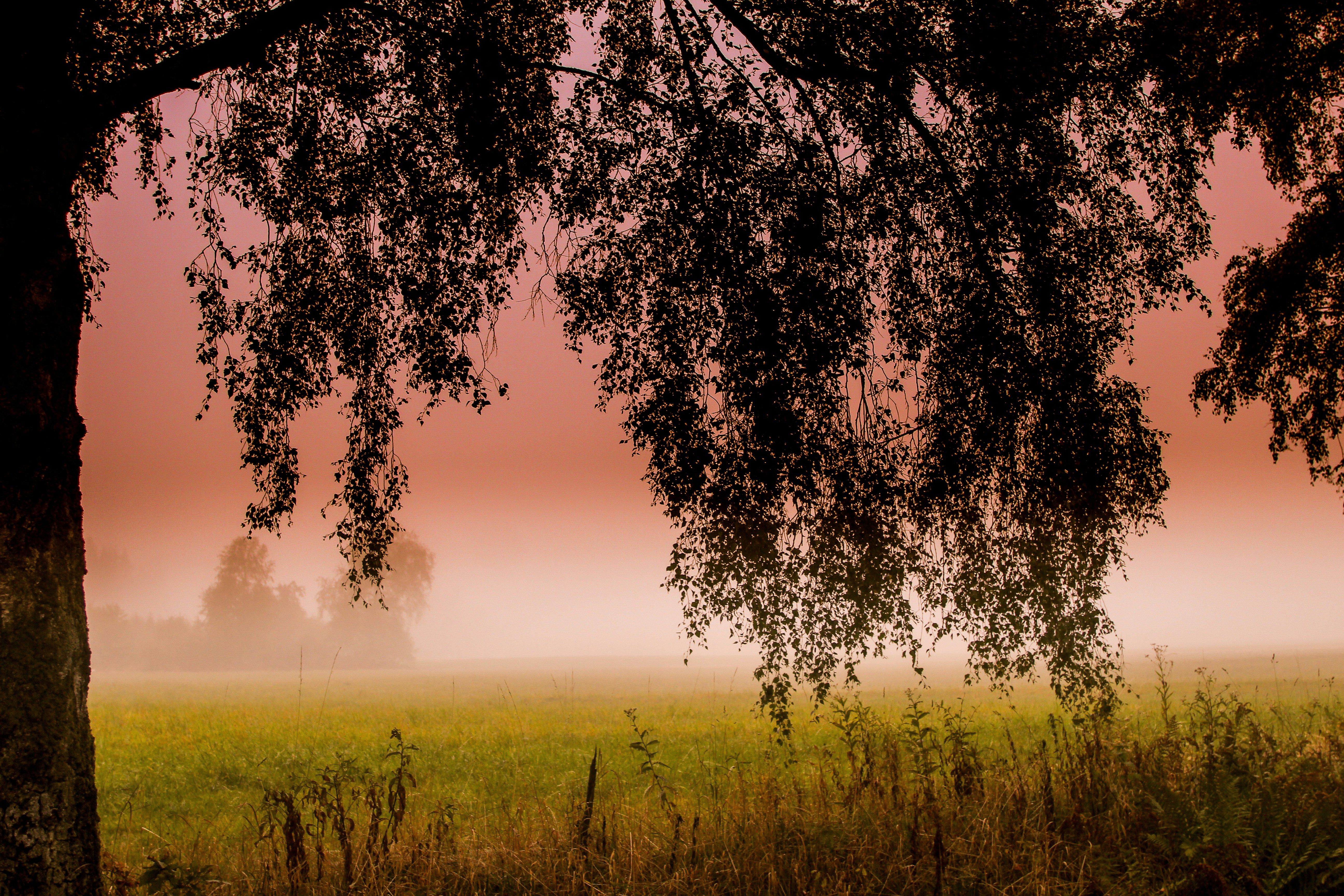 photo-1538591459399-c00b502bb6f2?ixlib=rb-1.2.1&ixid=eyJhcHBfaWQiOjEyMDd9&auto=format&fit=crop&w=1500&q=80