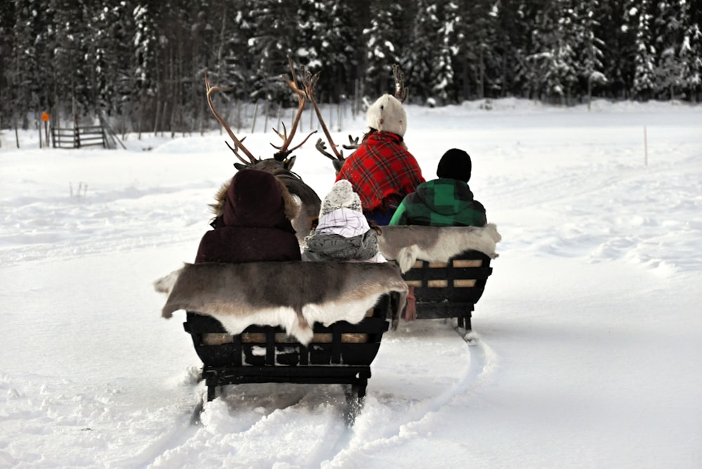 four person sitting on snow sleigh
