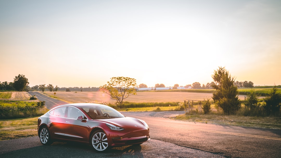 red sedan on road, Model 3 Sunset