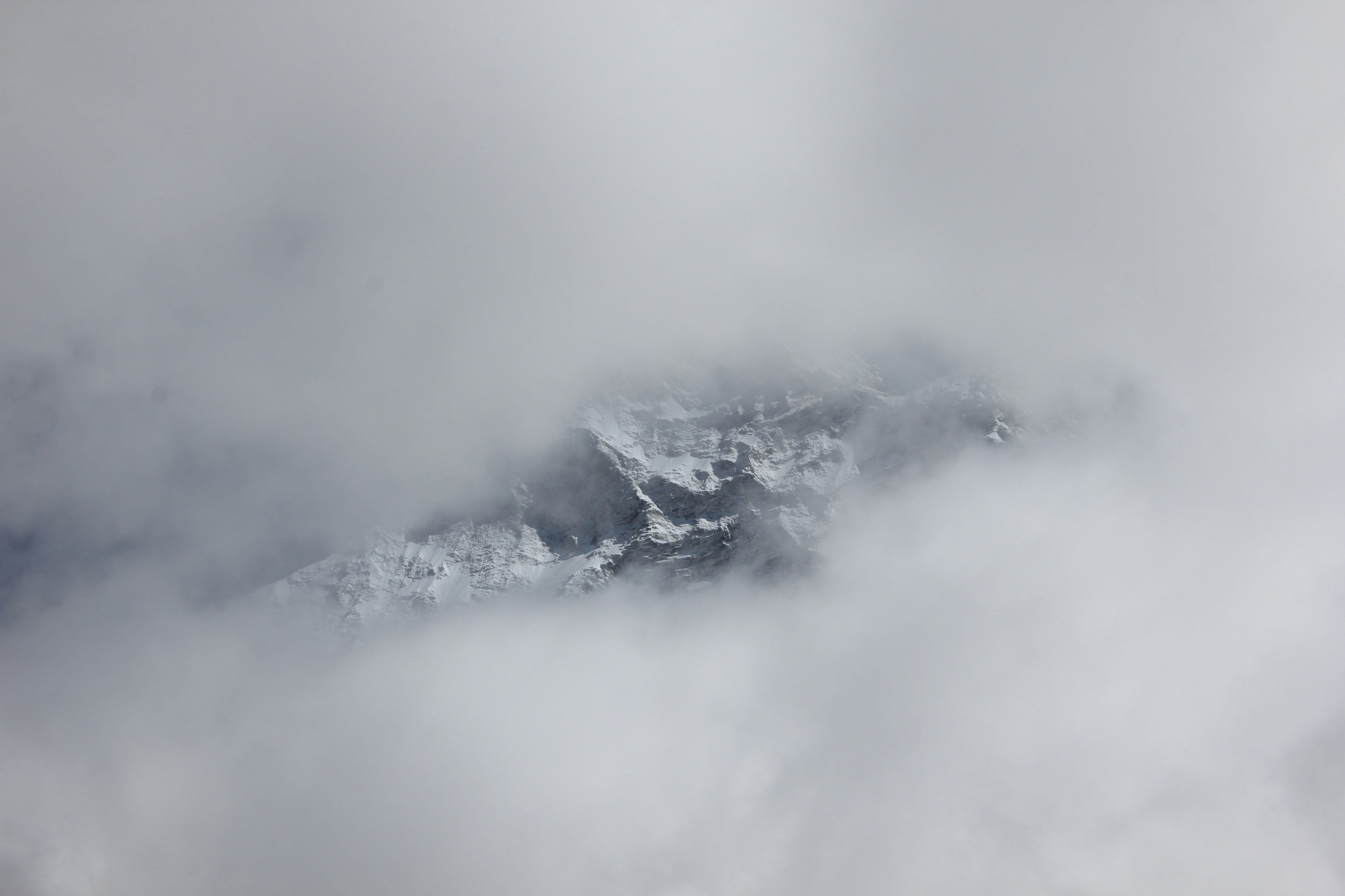 Photo by adibbehrooz