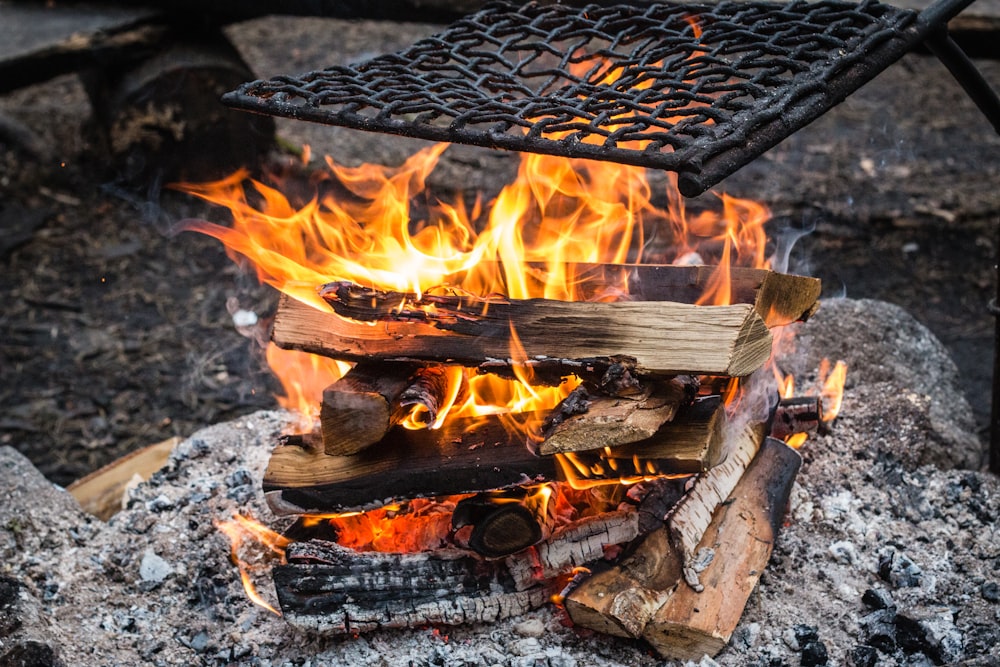 closeup photography of firewood under black metal chain