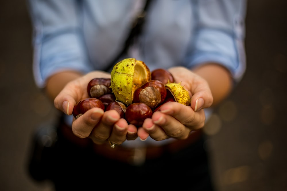 person holding a bunch of chestnuts