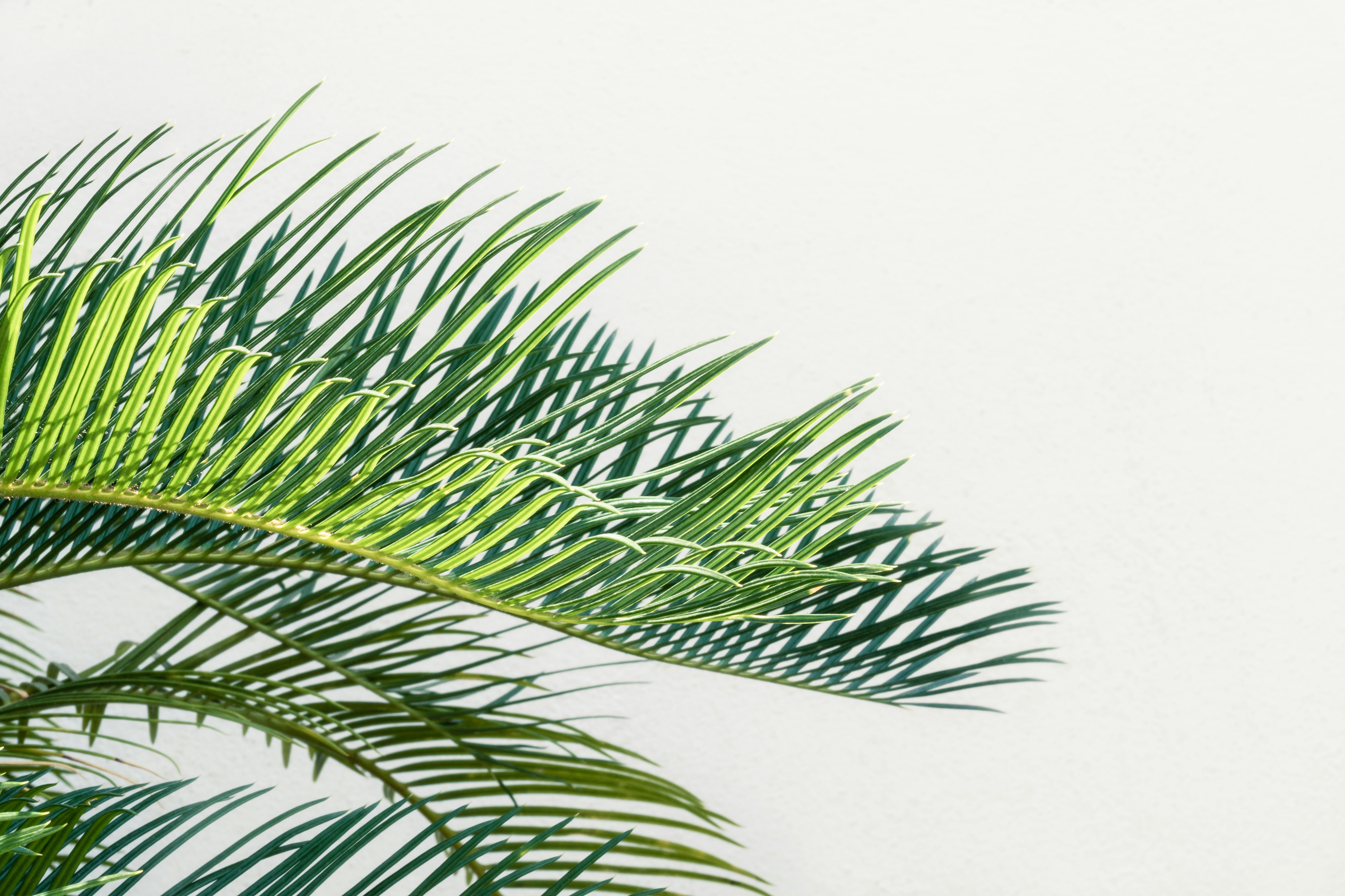 Photo by pawel_czerwinski