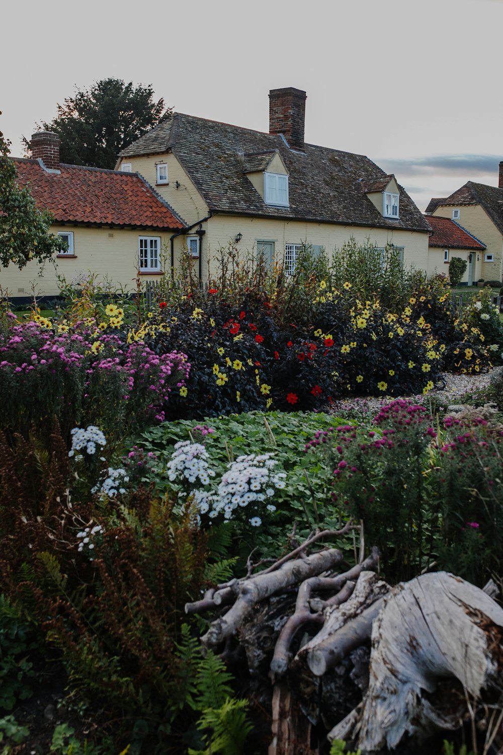 houses and flower garden during daytime