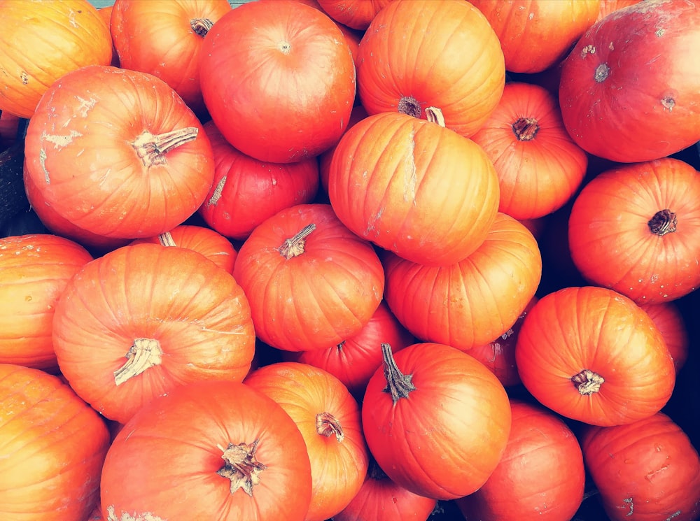 pile of pumpkins