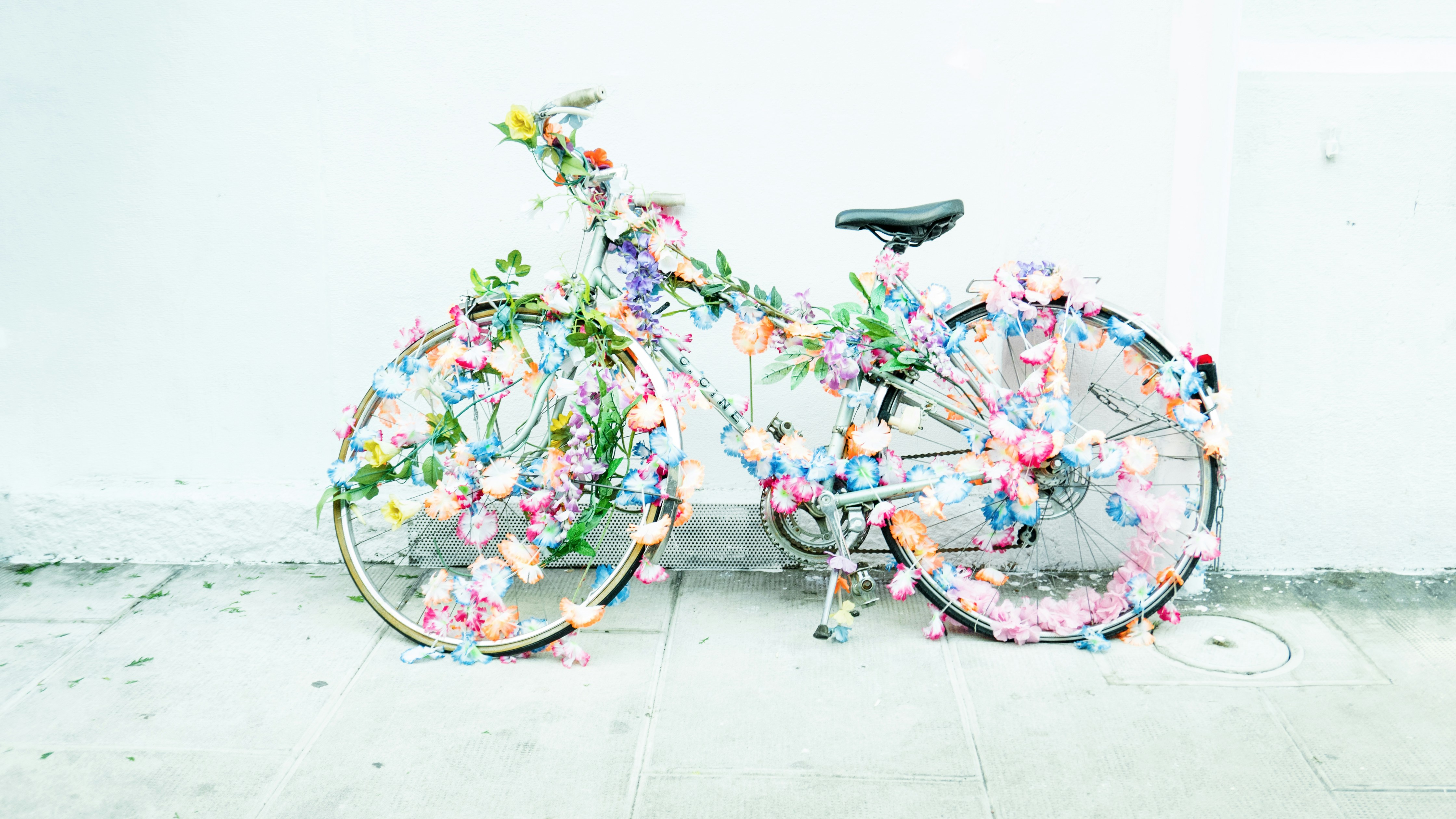 50+ Heartwarming Wheels for Wishes Messages to Inspire Joy
