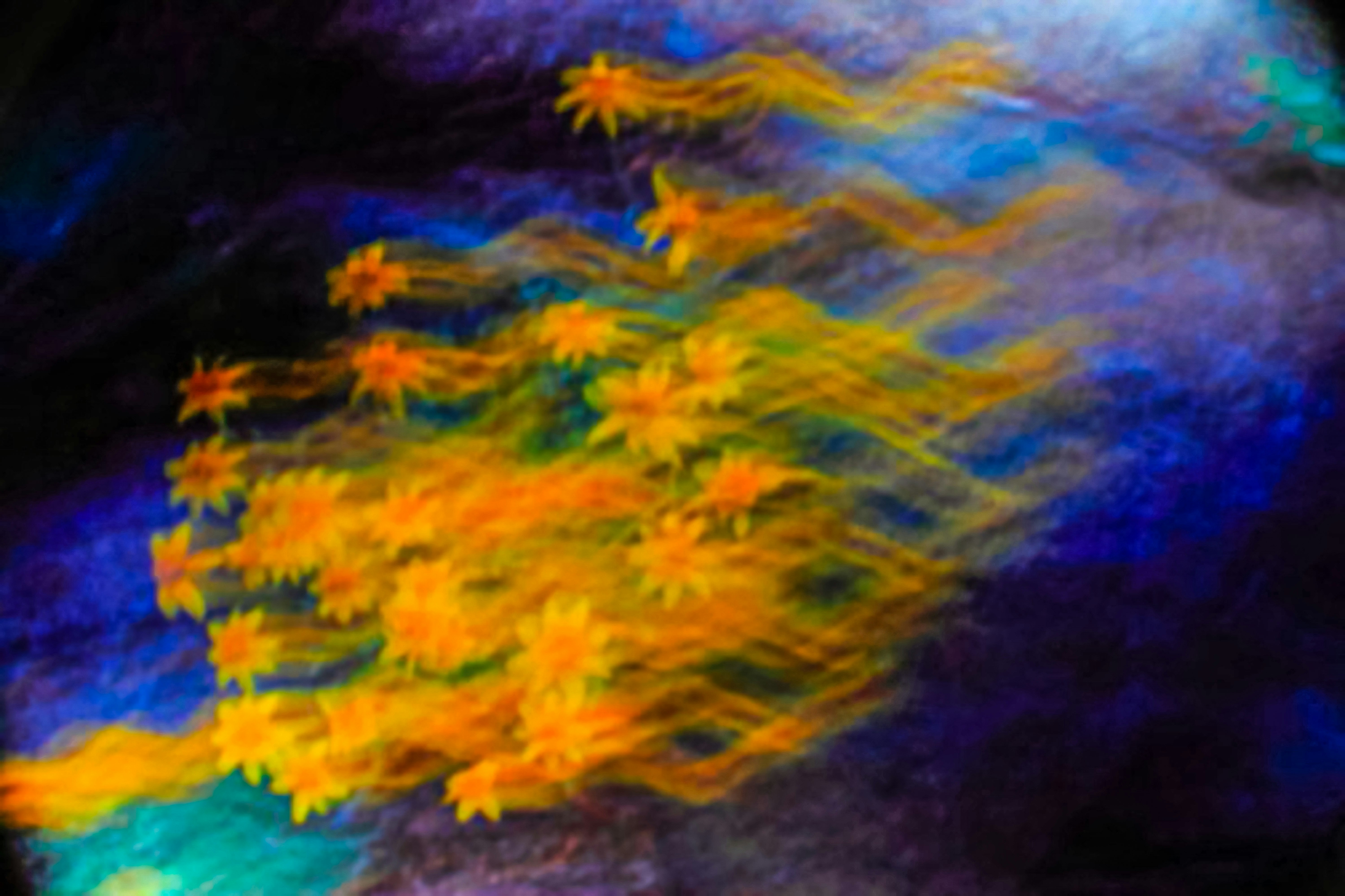 心靈世紀/心靈小品/生活智慧