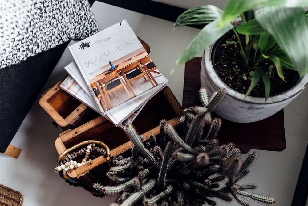 Modern Retro book beside plant