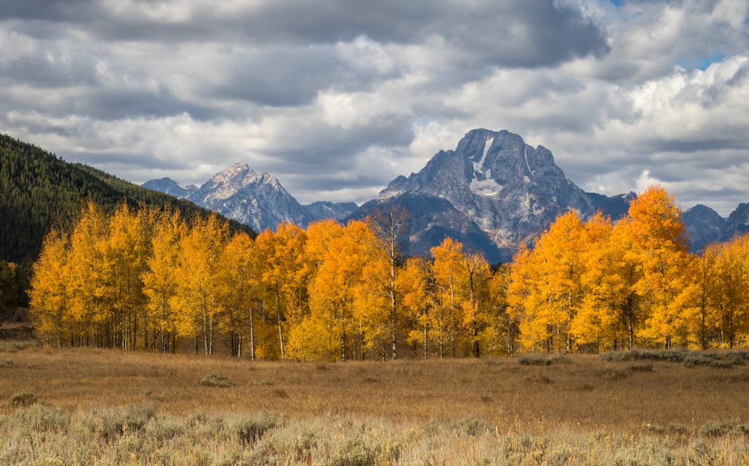 travelers stories about Mountain range in Grand Teton National Park, United States