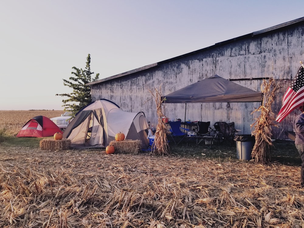 white and gray dome tent