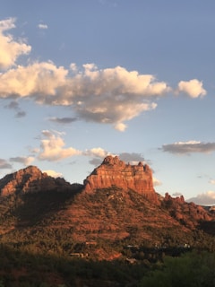 A serene view of Zion's red rock cliffs bathed in warm sunlight under a clear blue sky.