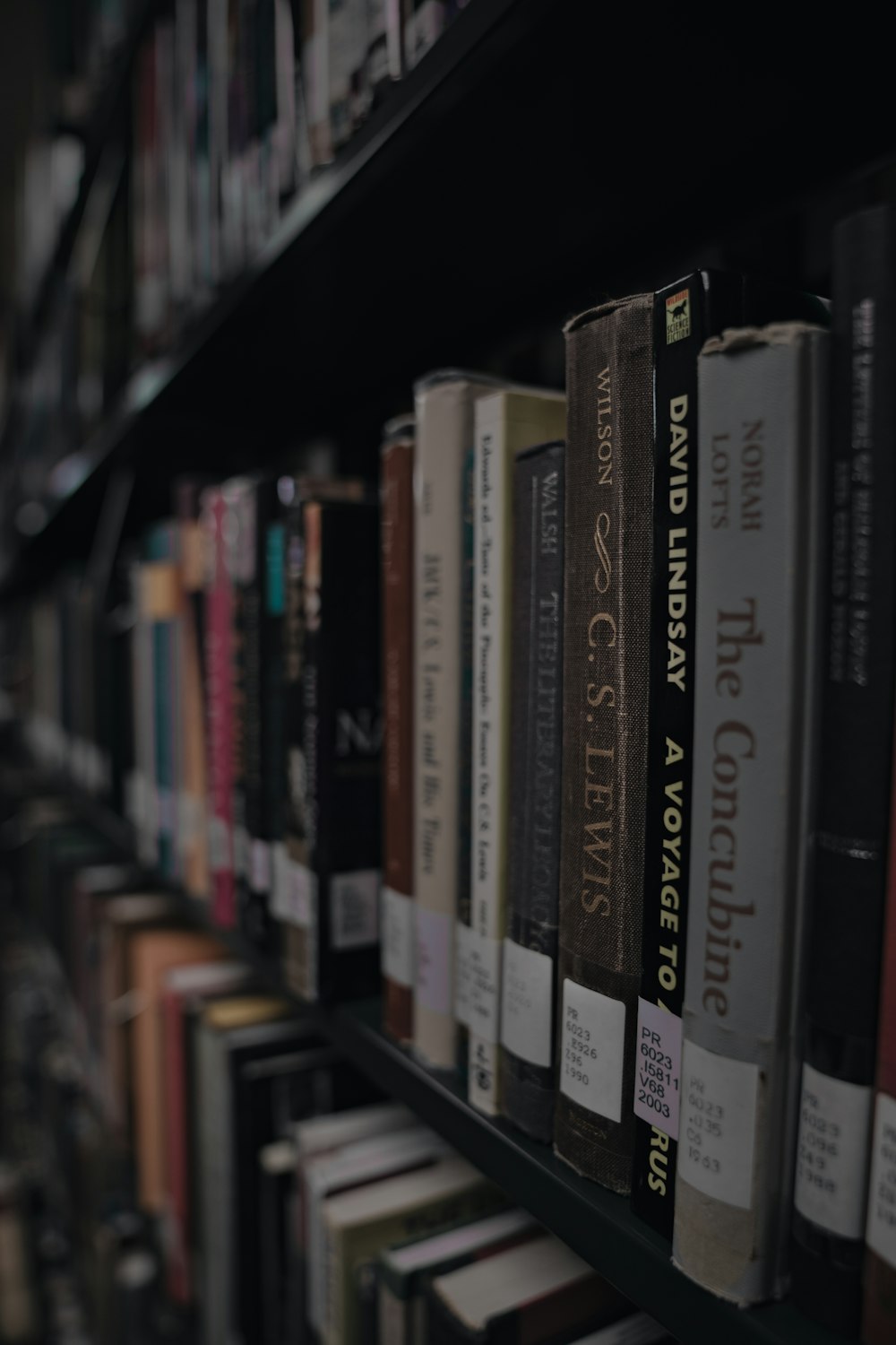 selective focus photography of books in bookshelf