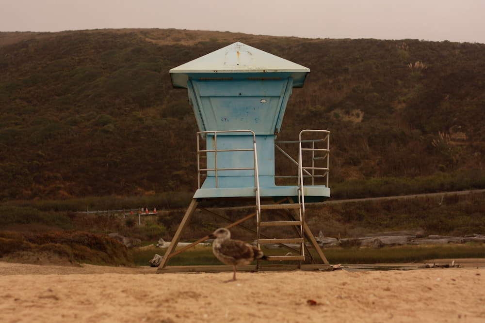 blue wooden guard house near seashore