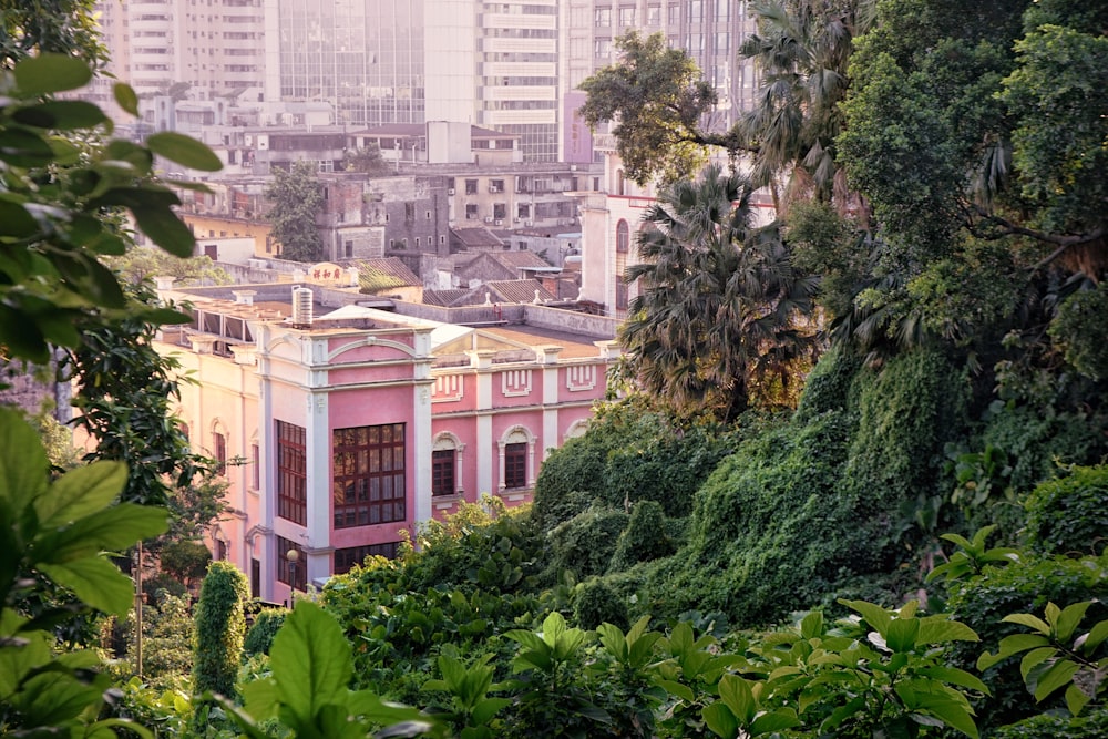 concrete structures beside trees and plants