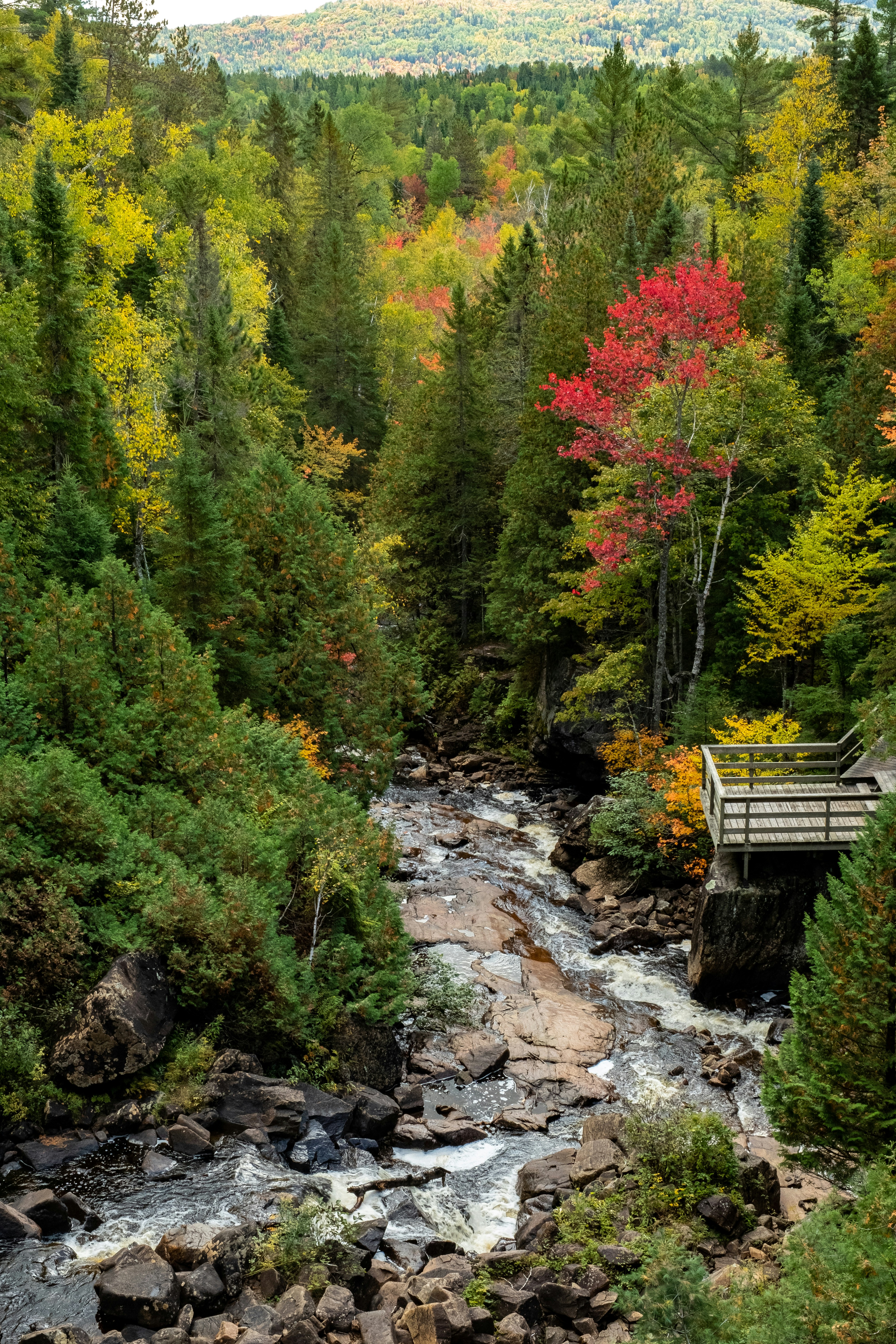 We were on our way to the Chute-à-Bull, the colors were beautiful at that time of the year. Some trees were already red. This is a glimpse of what a Canadian fall looks like.