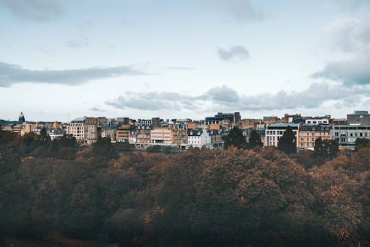 trees near high-rise building in Edinburgh United Kingdom