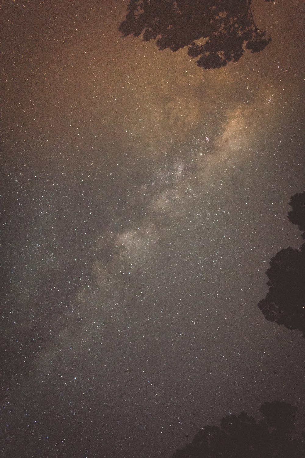 Galaxia de la Vía Láctea en el cielo nocturno