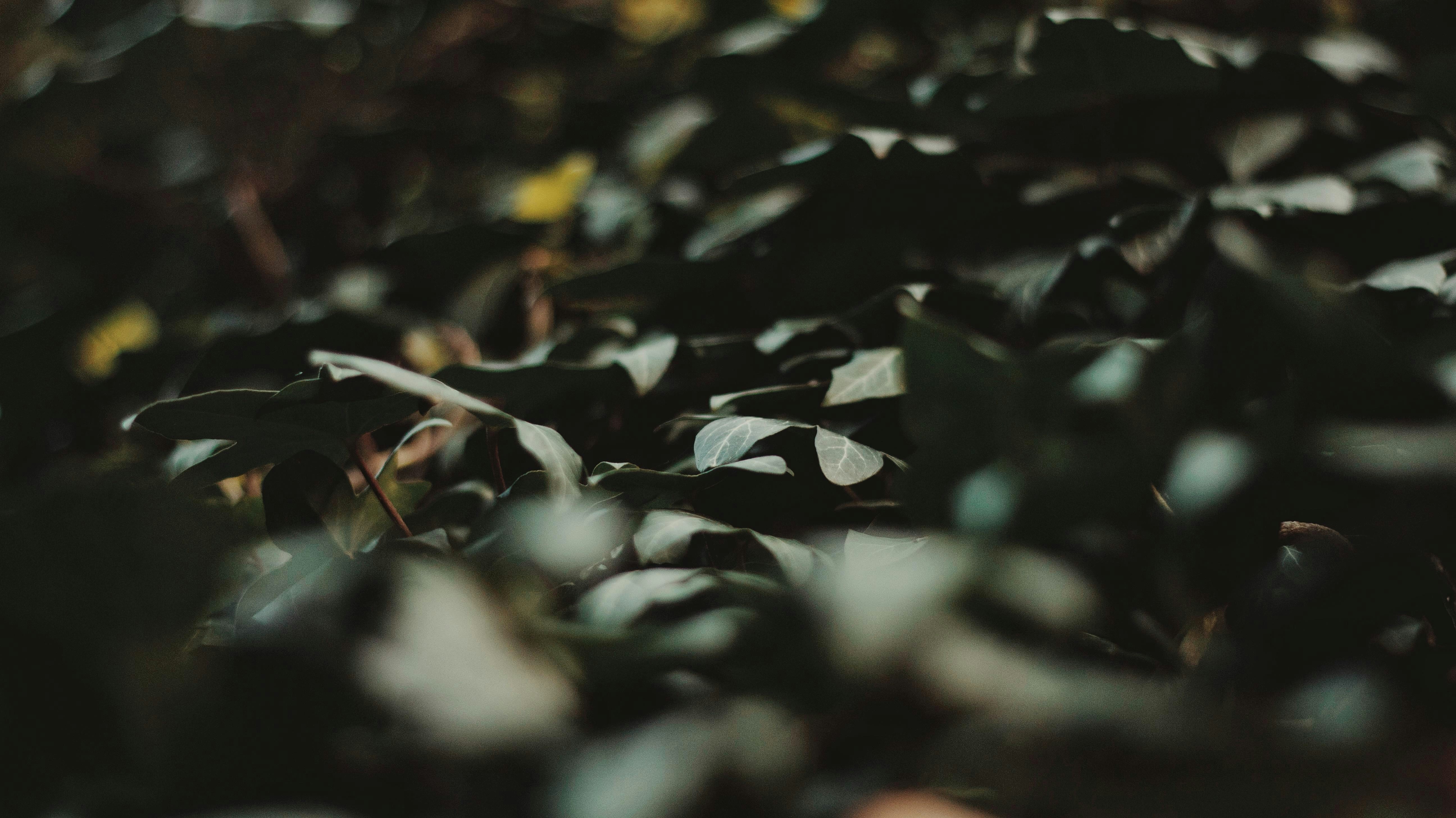 Photo by frank_dudek