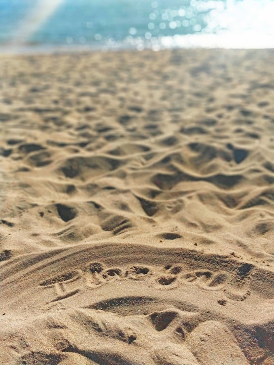 brown sands near body of water in Cargèse France