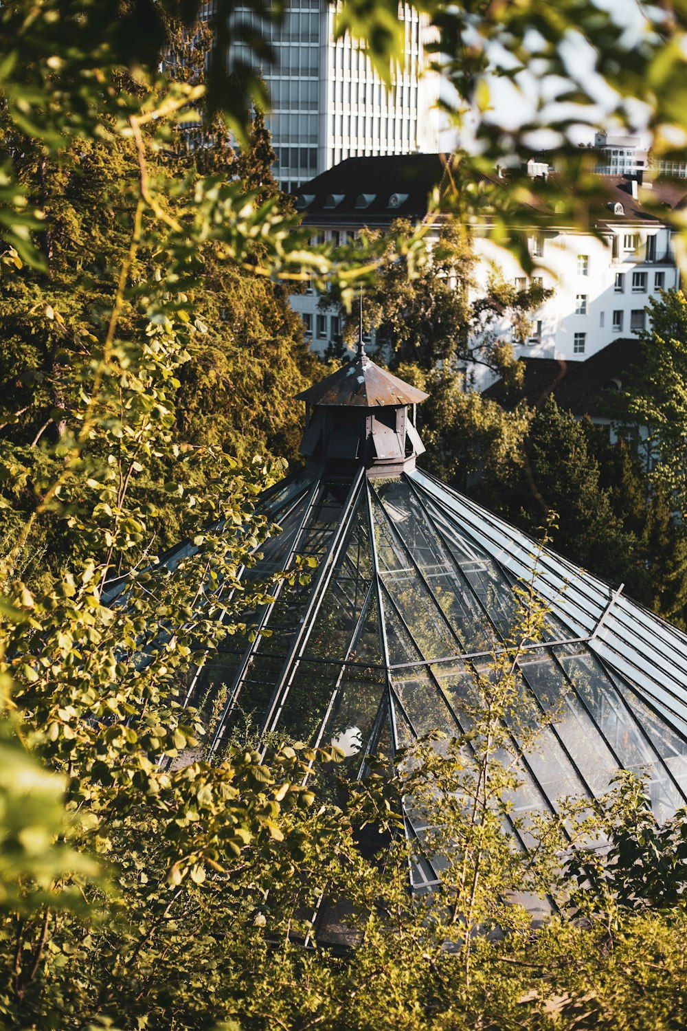 a building with a glass roof surrounded by trees