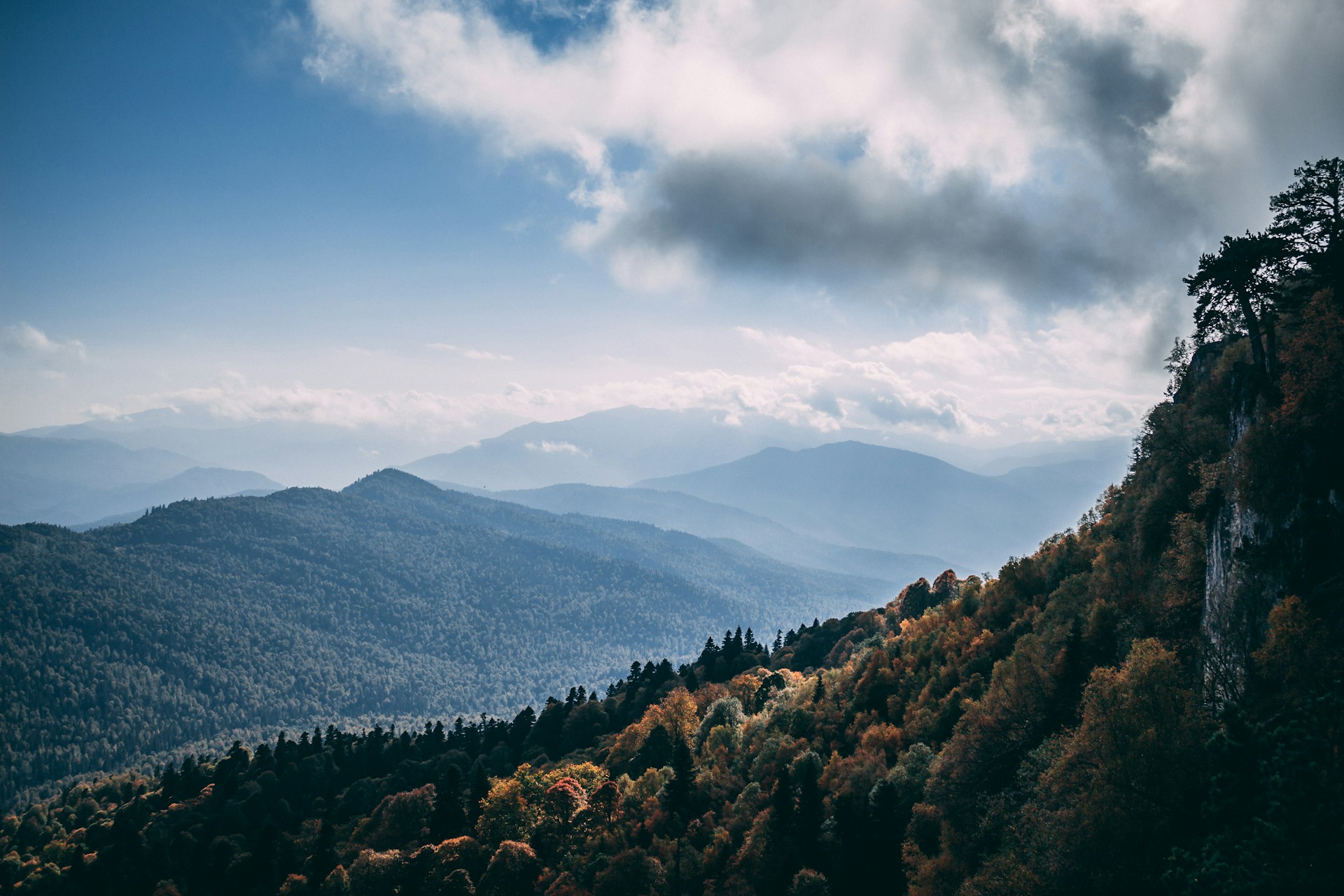 trees in mountain under clouds