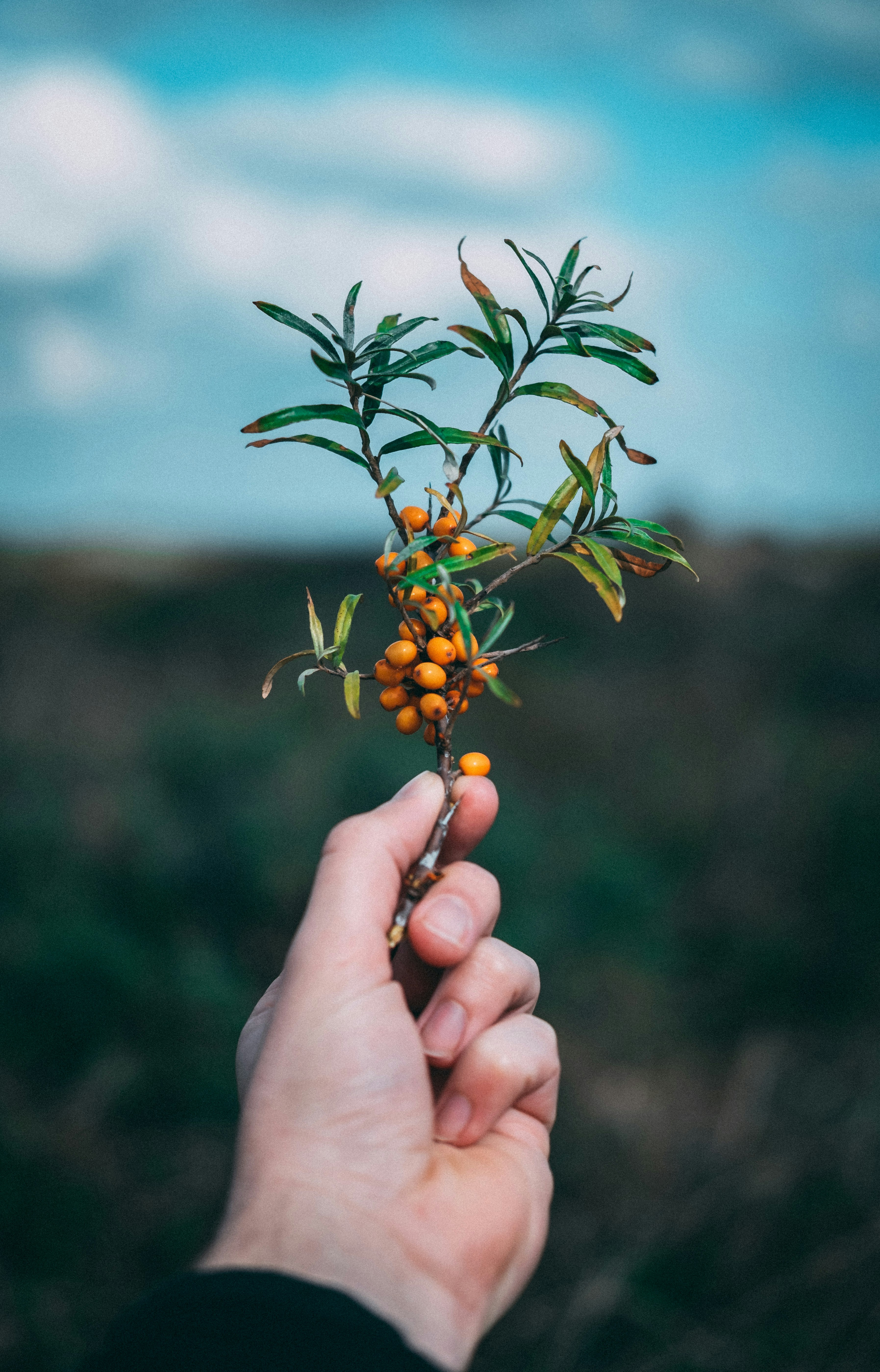 Photo by wildemeijer