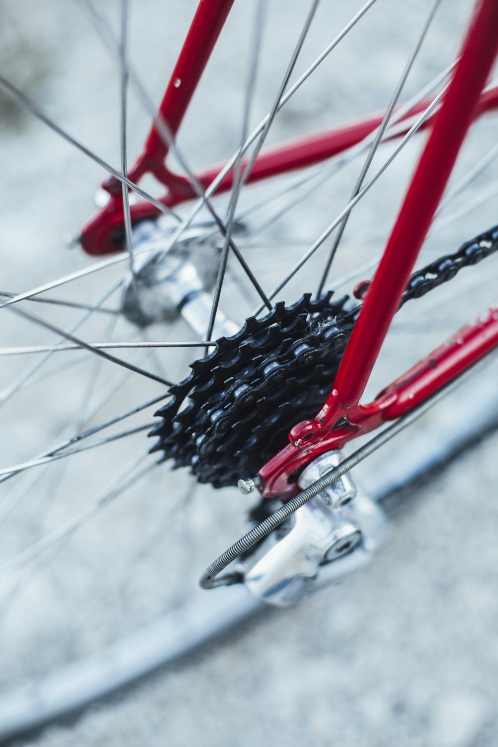 selective focus photography of bicycle wheel and tire